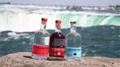 Screen Shot 2019-06-17 at 11.35.33 PM