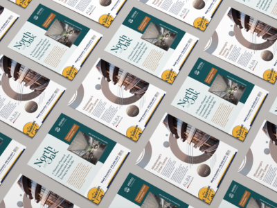 The Chateau Group condo flyer branding